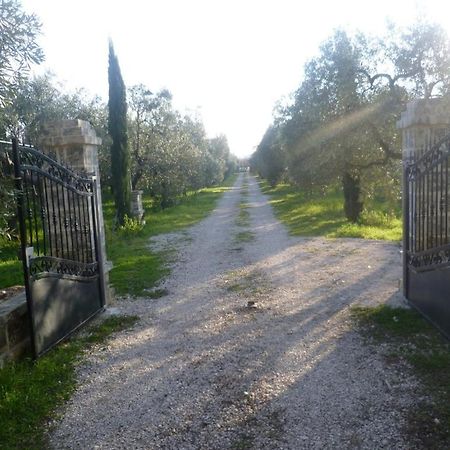 فيلا Farm Agriturismo Masseria Chiusurella كوراتو المظهر الخارجي الصورة
